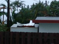 ShedOutside.jpg