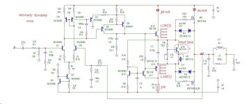 amp for DIY.jpg