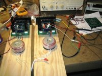 50w krills beta stage - small img_0198.jpg