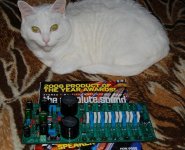 pcb+c.a.t..jpg
