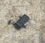 IMG_5412.jpeg