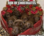 IMG_1392.jpeg