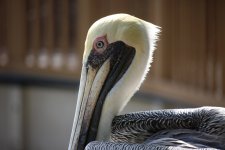 IMG_8275.JPG