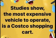 Costco Cart.jpeg