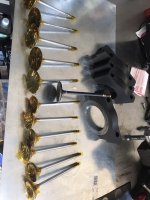 IMG_2016.jpeg
