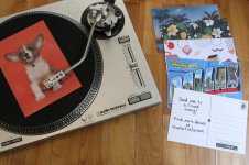 Custom-Vinyl-Postcard-13-1024x682.jpg