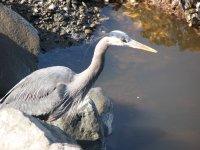 IMG_3658.jpg