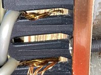 IMG_4591.jpeg