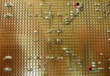 pcbbottom1.jpg