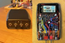 HPamp1_CFP.jpg