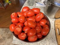 IMG_0147.jpeg