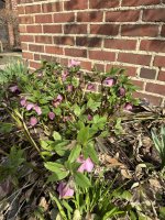 IMG_0970.jpeg