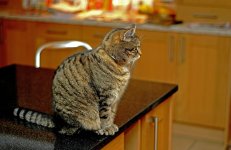 DSC_0022.jpg
