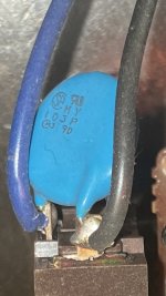 IMG_3566.jpeg