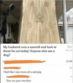 Screenshot 2024-03-18 at 12.36.01 PM.png