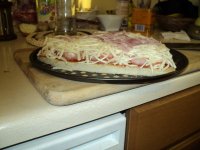 DSC00334.jpg
