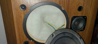 20240322_094649.jpg