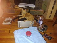IMG_20240323_091138582.jpg