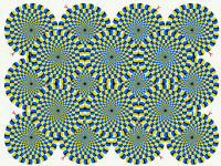 optical-rotsnake.png