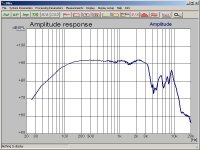 diyaudio_4.jpg