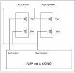 mono amp.jpg