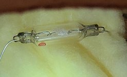 20240330_125721.jpg