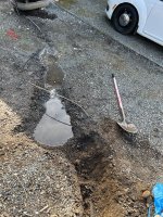 IMG_1229.jpeg