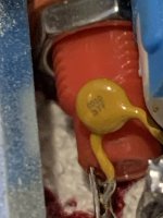 IMG_7276.jpeg