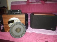 IMG_20240407_205536.jpg