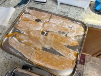 IMG_0219.jpeg