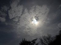 DSC00715.JPG