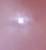 IMG_1665.JPG