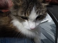 DSC00724.JPG