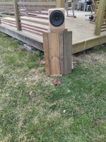 IMG_20240409_174129.jpg