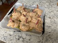 IMG_0223.jpeg
