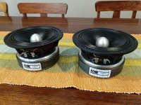 TD6M #3.jpg