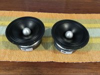 TD6M #4.jpg
