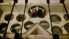 DSC_0049[1].JPG