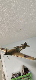 IMG_20240414_110801.jpg