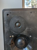 PXL_20240324_182451905.jpg