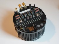 bottom view.jpg