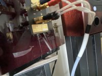 IMG_0852.jpeg