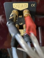 IMG_0853.jpeg