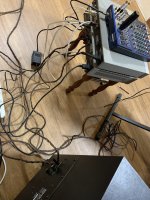 IMG_5362.jpeg