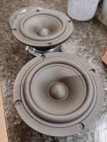 IMG20240428093743.jpg