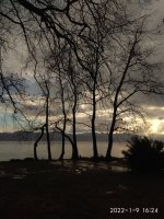 IMG_20220109_162414.jpg