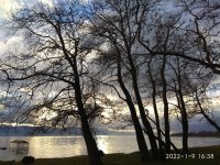 IMG_20220109_163809.jpg