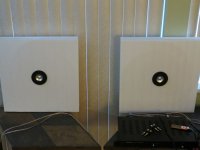 IMG_1020.jpg
