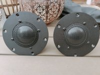 IMG20240504122317.jpg