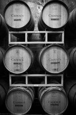 barrels (1 of 2).jpg